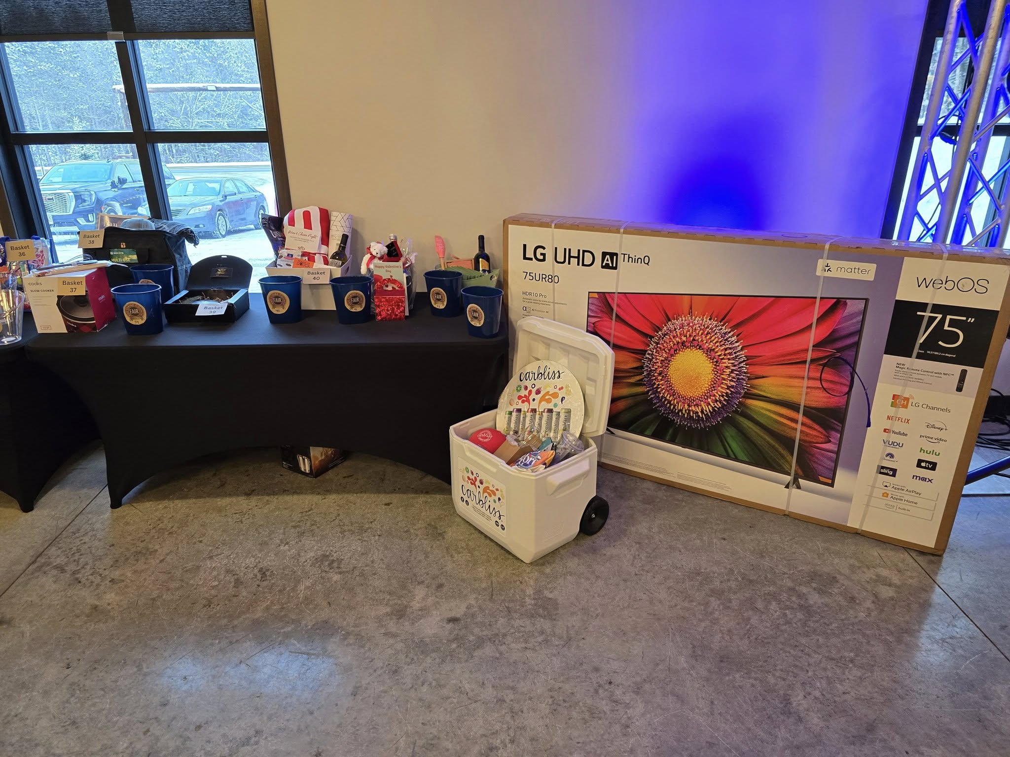 Snowy Shenanigans Winter Fundraiser 6 11