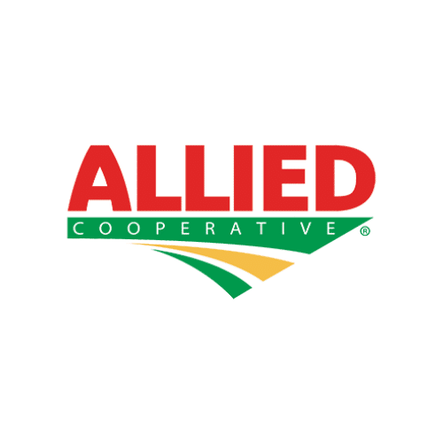Allied Allied