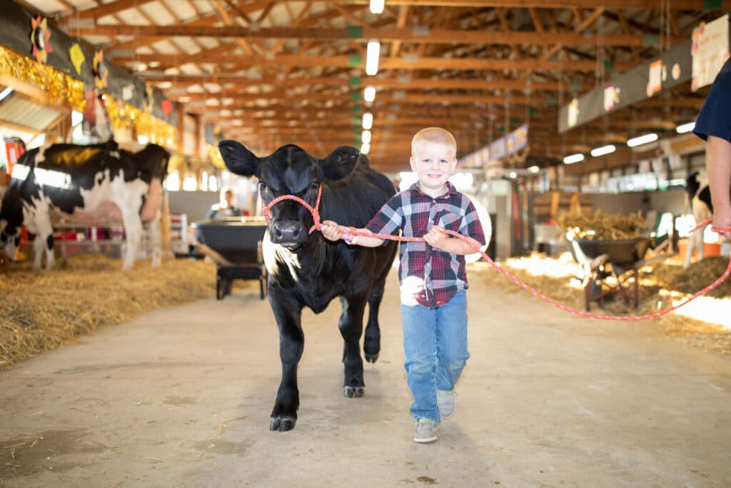 eau claire county fair 2023 20